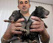 В связи с усилением морозов обитатели сафари-парка в Приморье получают доппитание В связи с усилением морозов обитатели сафари-парка в Приморье получают доппитание