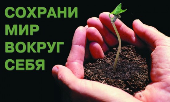 Главные события экологии, ожидаемые в 2013 году Главные события экологии, ожидаемые в 2013 году