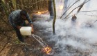 Число лесных пожаров в России за сутки выросло до 227 очагов Число лесных пожаров в России за сутки выросло до 227 очагов