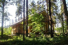 Минприроды проверяет законность поселений в Подмосковье Минприроды проверяет законность поселений в Подмосковье