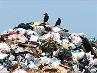 С начала 2012 года Росприроднадзор ликвидировал 31 тысясу незаконных свалок на 6,1 тыс. га С начала 2012 года Росприроднадзор ликвидировал 31 тысясу незаконных свалок на 6,1 тыс. га