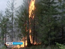 Пожарные потушили за сутки тысячу гектаров леса в Красноярском крае Пожарные потушили за сутки тысячу гектаров леса в Красноярском крае