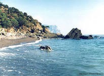 Цветение Черного моря становится рекордным Цветение Черного моря становится рекордным