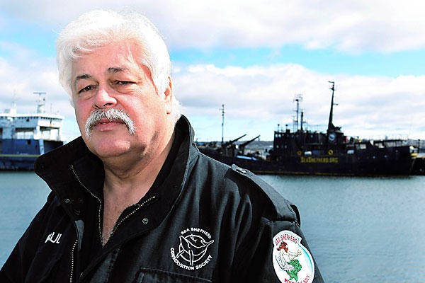 Глава Sea Shepherd объявил об уходе со своего поста Глава Sea Shepherd объявил об уходе со своего поста