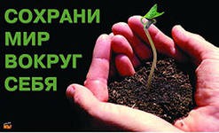 В 2013 году организация охраны московских лесопарков может обойтись властям в 46 млн рубей В 2013 году организация охраны московских лесопарков может обойтись властям в 46 млн рубей