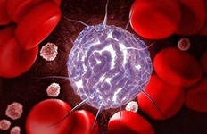 Ученые Японии планируют создать банк искусственных стволовых клеток Ученые Японии планируют создать банк искусственных стволовых клеток