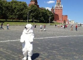 Гринпис намерен собрать миллион подписей в поддержку создания заповедника в Арктике Гринпис намерен собрать миллион подписей в поддержку создания заповедника в Арктике