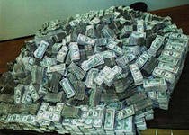 Жители Ивановской области за три недели собрали деньги на операцию ослепшей амурской тигрице Жители Ивановской области за три недели собрали деньги на операцию ослепшей амурской тигрице