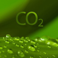 Москва может стимулировать снижение выбросов CO2 с помощью госпрограммы по энергоэффективности Москва может стимулировать снижение выбросов CO2 с помощью госпрограммы по энергоэффективности