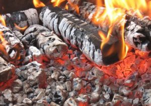 Развитие технологий ВИЭ может привести к буму "зеленой энергетики" в РФ в 2015-2020 годах Развитие технологий ВИЭ может привести к буму "зеленой энергетики" в РФ в 2015-2020 годах