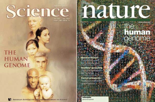 В Сибири нужно создать представительства журналов Science и Nature В Сибири нужно создать представительства журналов Science и Nature