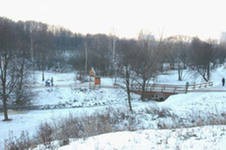 В парке Тропарево появились краснокнижники - заяц-русак и заяц-беляк В парке Тропарево появились краснокнижники - заяц-русак и заяц-беляк