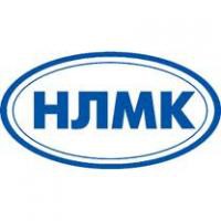 В 2012 году сократилась чистая прибыль НЛМК по РСБУ В 2012 году сократилась чистая прибыль НЛМК по РСБУ