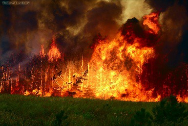 Число лесных пожаров в РФ за сутки увеличилось с 233 до 254 очагов Число лесных пожаров в РФ за сутки увеличилось с 233 до 254 очагов