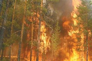 Режим ЧС введен в Красноярском крае из-за лесных пожаров Режим ЧС введен в Красноярском крае из-за лесных пожаров