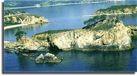 35-летие отметил морской заповедник в Приморском крае 35-летие отметил морской заповедник в Приморском крае