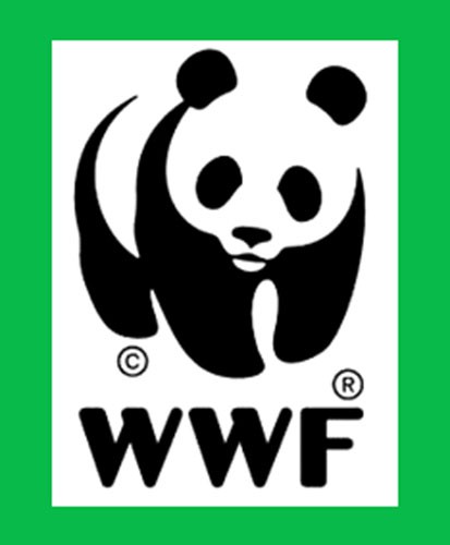 В ходе "Часа Земли" WWF пожертвовали российские компании около 1,4 млн рублей В ходе "Часа Земли" WWF пожертвовали российские компании около 1,4 млн рублей