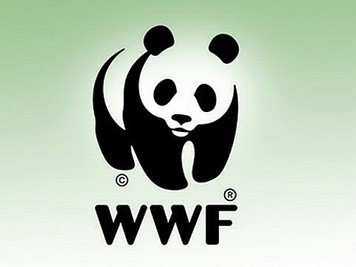 4 российских заповедника стали обладателями грантов WWF 4 российских заповедника стали обладателями грантов WWF