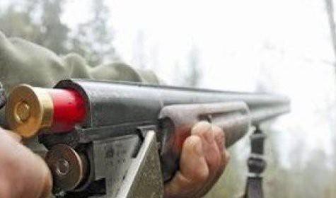 Браконьерам увеличили санкции за убийство краснокнижных животных Браконьерам увеличили санкции за убийство краснокнижных животных
