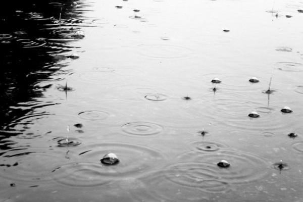 Во вторник Москву накроет весенний дождь Во вторник Москву накроет весенний дождь