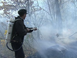 Крупный природный пожар в Ростовской области ликвидирован Крупный природный пожар в Ростовской области ликвидирован