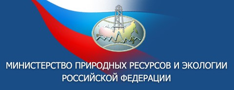 Замминистра Попов назначен первым замглавы Минприроды РФ Замминистра Попов назначен первым замглавы Минприроды РФ