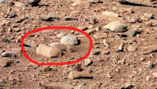 Марсоход Curiosity сфотографировал сурка на Марсе Марсоход Curiosity сфотографировал сурка на Марсе
