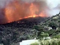 Горит лес на востоке греческого острова Самос Горит лес на востоке греческого острова Самос