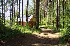 Тушат торфяной пожар в национальном парке Псковской области Тушат торфяной пожар в национальном парке Псковской области
