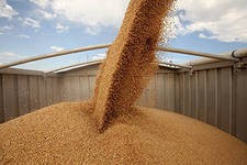Россия сможет обеспечить экспорт зерна на уровне 18-20 миллионов тонн. Россия сможет обеспечить экспорт зерна на уровне 18-20 миллионов тонн.