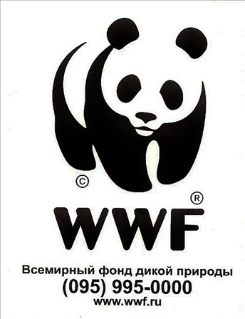 WWF составил онлайн-карту состояния лесов юга Дальнего Востока