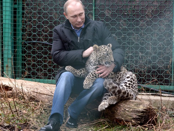 Всемирный опрос СМИ показал, что Путин стал политиком номер один Всемирный опрос СМИ показал, что Путин стал политиком номер один