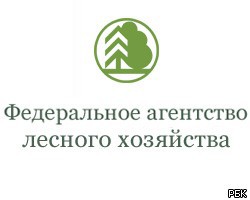 В Минприроды РФ появится пост куратора лесного хозяйства В Минприроды РФ появится пост куратора лесного хозяйства