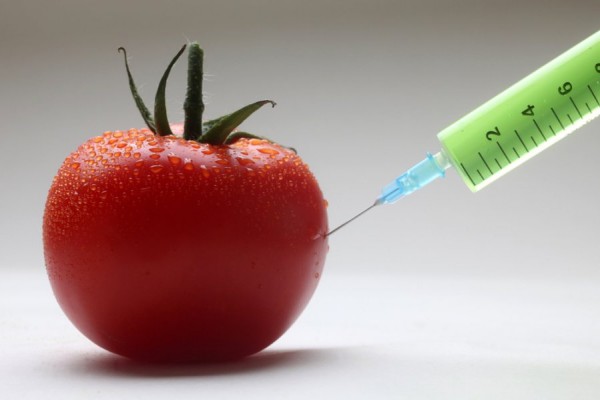 Россия откажется от продуктов с ГМО Россия откажется от продуктов с ГМО