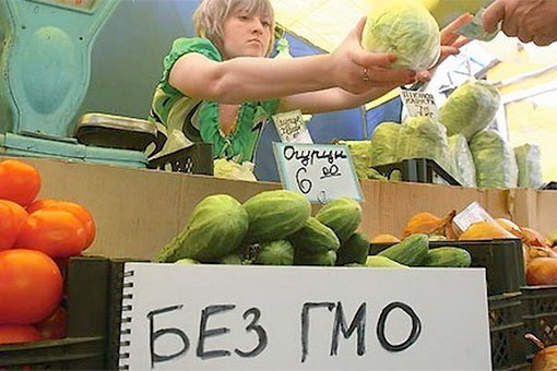 ГМО может стать причиной ссоры с ВТО ГМО может стать причиной ссоры с ВТО