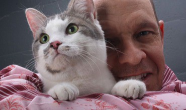 Кошки продлевают жизнь. Кошки продлевают жизнь.