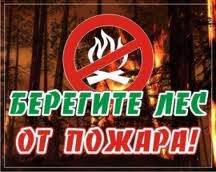 Площадь лесных пожаров в Сибири снизилась на треть - до 16,3 тысячи га Площадь лесных пожаров в Сибири снизилась на треть - до 16,3 тысячи га
