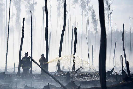 Возгорание торфа в Тверской области Возгорание торфа в Тверской области