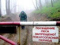 Леса Марий Эл закрыты для свободного посещения из-за высокой пожароопасности Леса Марий Эл закрыты для свободного посещения из-за высокой пожароопасности