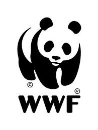 WWF поддерживает обращение Госдумы к премьеру РФ по поводу подготовки запуска БоГЭС WWF поддерживает обращение Госдумы к премьеру РФ по поводу подготовки запуска БоГЭС