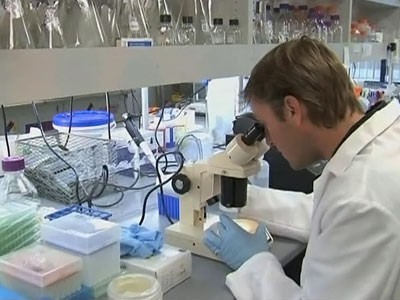 Гелевые наночастицы помогли мышам справиться с раком кожи Гелевые наночастицы помогли мышам справиться с раком кожи