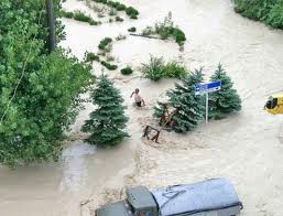 Новые оползни близ Неберджаевского водохранилища обнаружены на спутниковых снимках Новые оползни близ Неберджаевского водохранилища обнаружены на спутниковых снимках