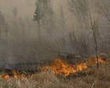 Челябинская область вышла на 1 место по числу лесных пожаров в РФ - власти региона Челябинская область вышла на 1 место по числу лесных пожаров в РФ - власти региона