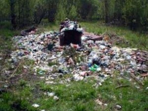 Тюменский эколог предлагает бороться с незаконными свалками "по-канадски" Тюменский эколог предлагает бороться с незаконными свалками "по-канадски"