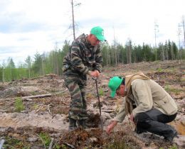 WWF намерен к 2017 г создать на Камчатке первую в России рыбохозяйственную заповедную зону WWF намерен к 2017 г создать на Камчатке первую в России рыбохозяйственную заповедную зону
