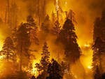 Дым от лесных пожаров в соседних регионах окутал Кузбасс Дым от лесных пожаров в соседних регионах окутал Кузбасс