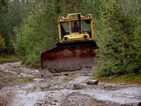 Вырубка леса под строительство рудника началась в Хибинах Вырубка леса под строительство рудника началась в Хибинах