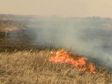 Всего 1 лесной пожар зафиксирован за минувшие сутки в СЗФО Всего 1 лесной пожар зафиксирован за минувшие сутки в СЗФО