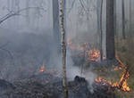 Высокая пожарная опасность сохранится в лесах Каталонии до середины августа Высокая пожарная опасность сохранится в лесах Каталонии до середины августа