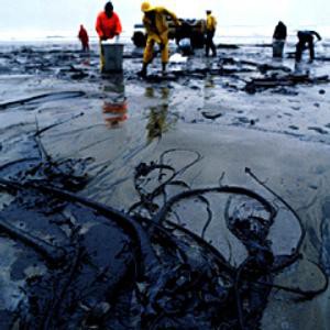 ТНК-ВР доработает программу по ликвидации разливов нефти ТНК-ВР доработает программу по ликвидации разливов нефти